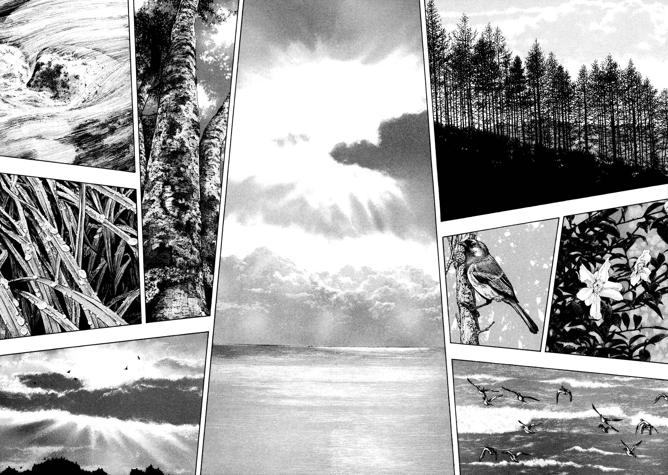 Page 5 of Chapter 294