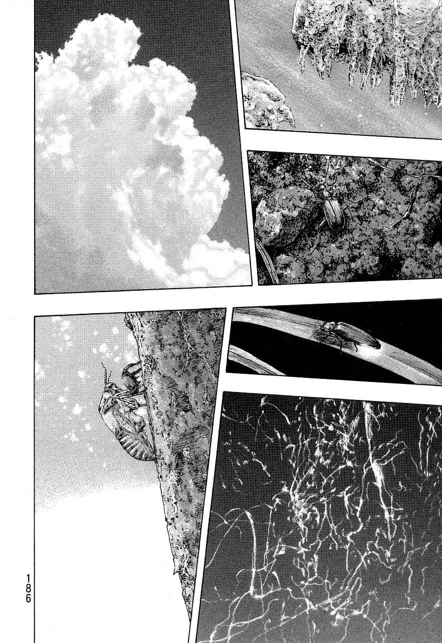 Page 7 of Chapter 334