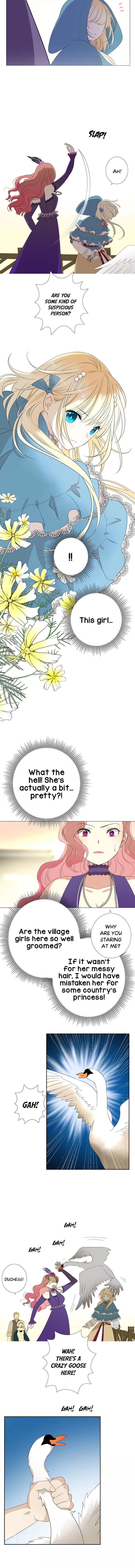 Page 4 of Chapter 1.1