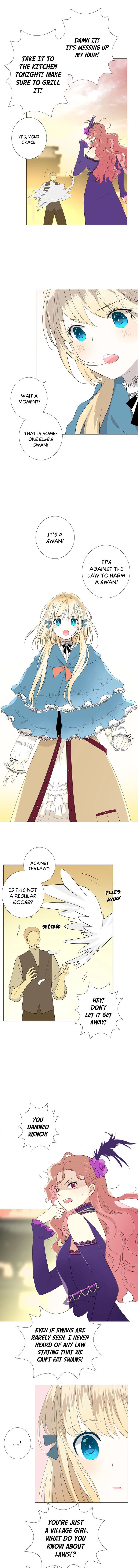 Page 5 of Chapter 1.1