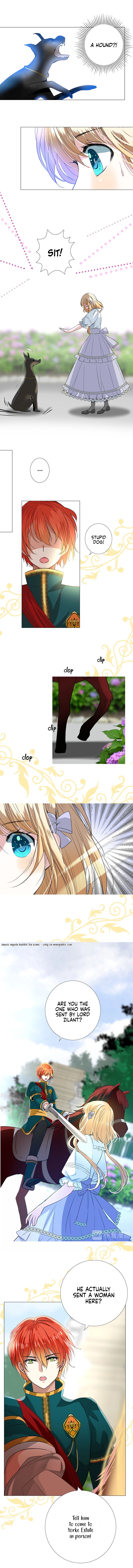 Page 7 of Chapter 11